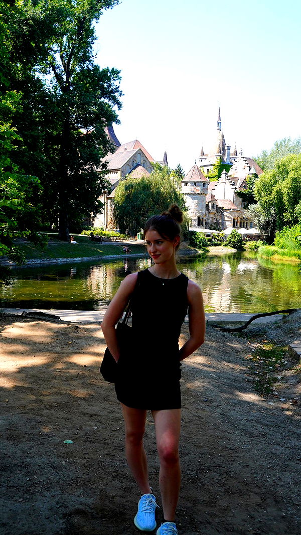 mira.0004 image ~ Altpins