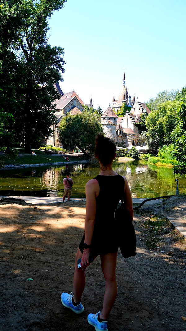 mira.0004 image ~ Altpins