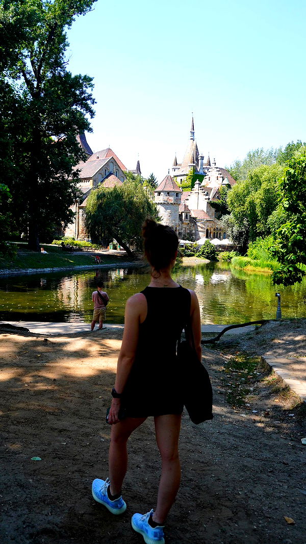 mira.0004 image ~ Altpins