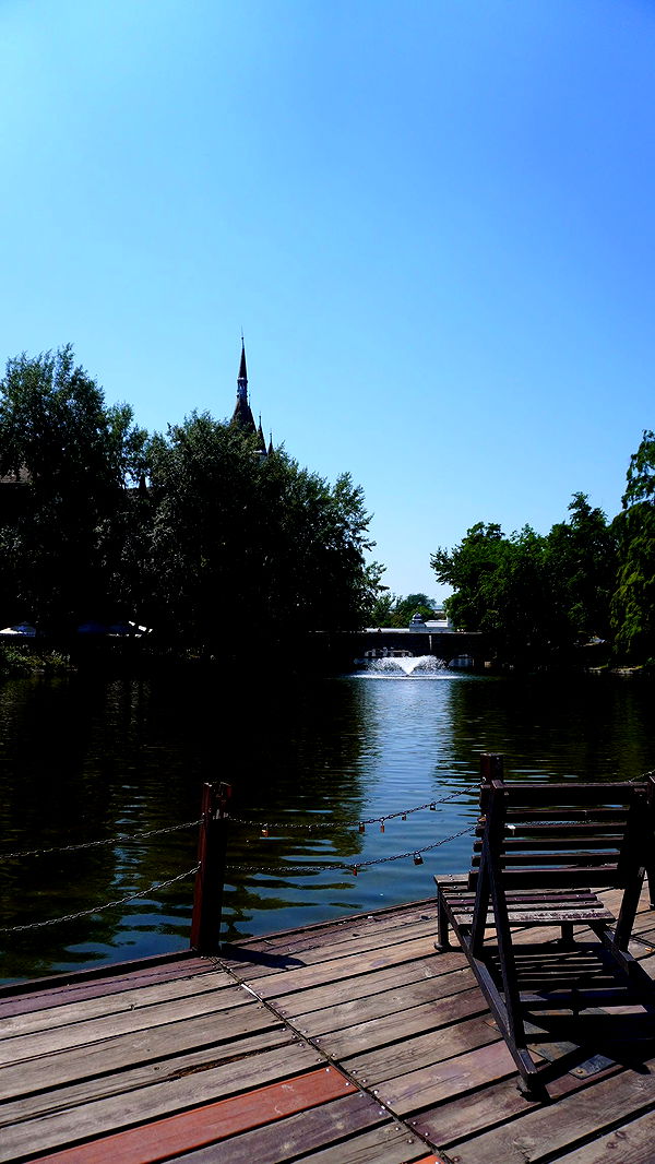 mira.0004 image ~ Altpins