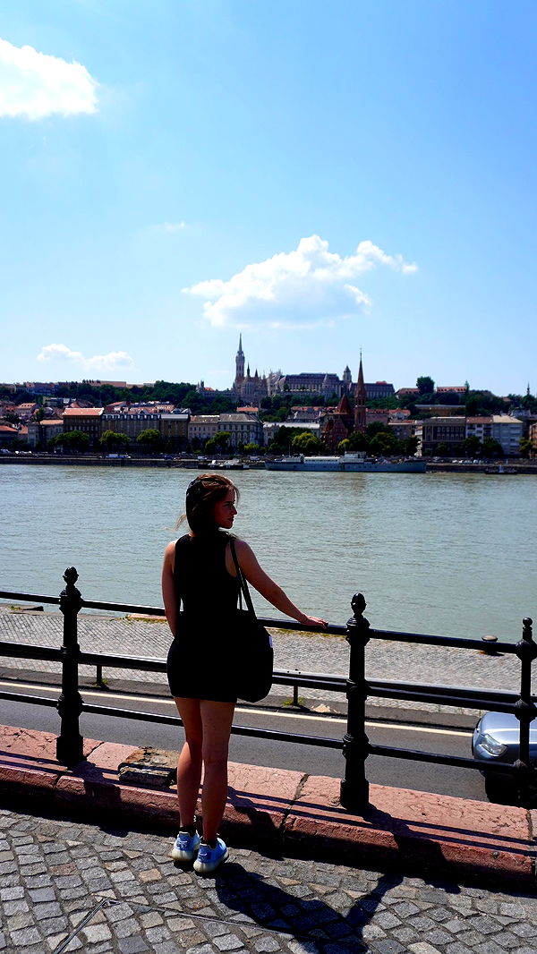 mira.0004 image ~ Altpins