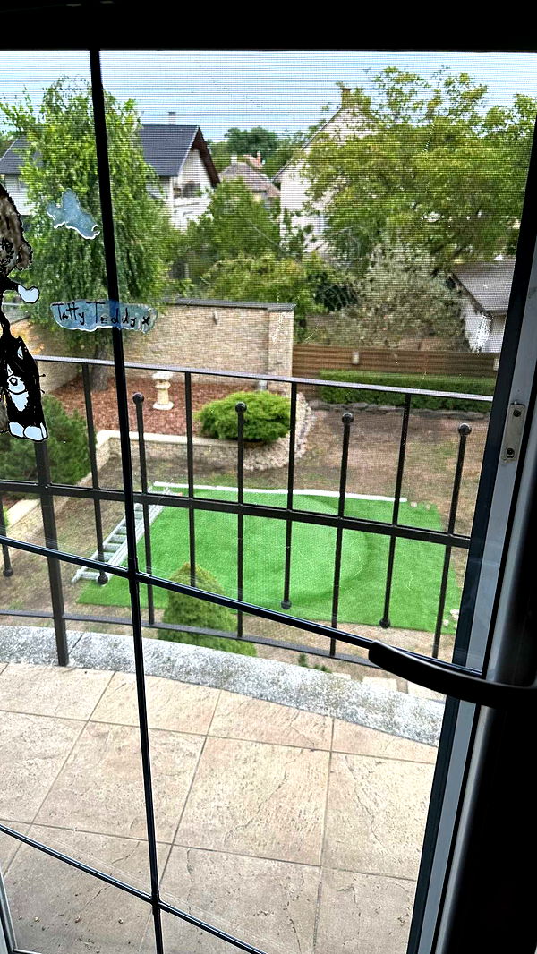 mira.0004 image ~ Altpins