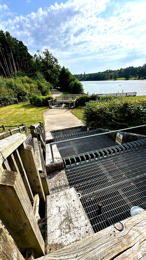 mira.0004 image ~ Altpins