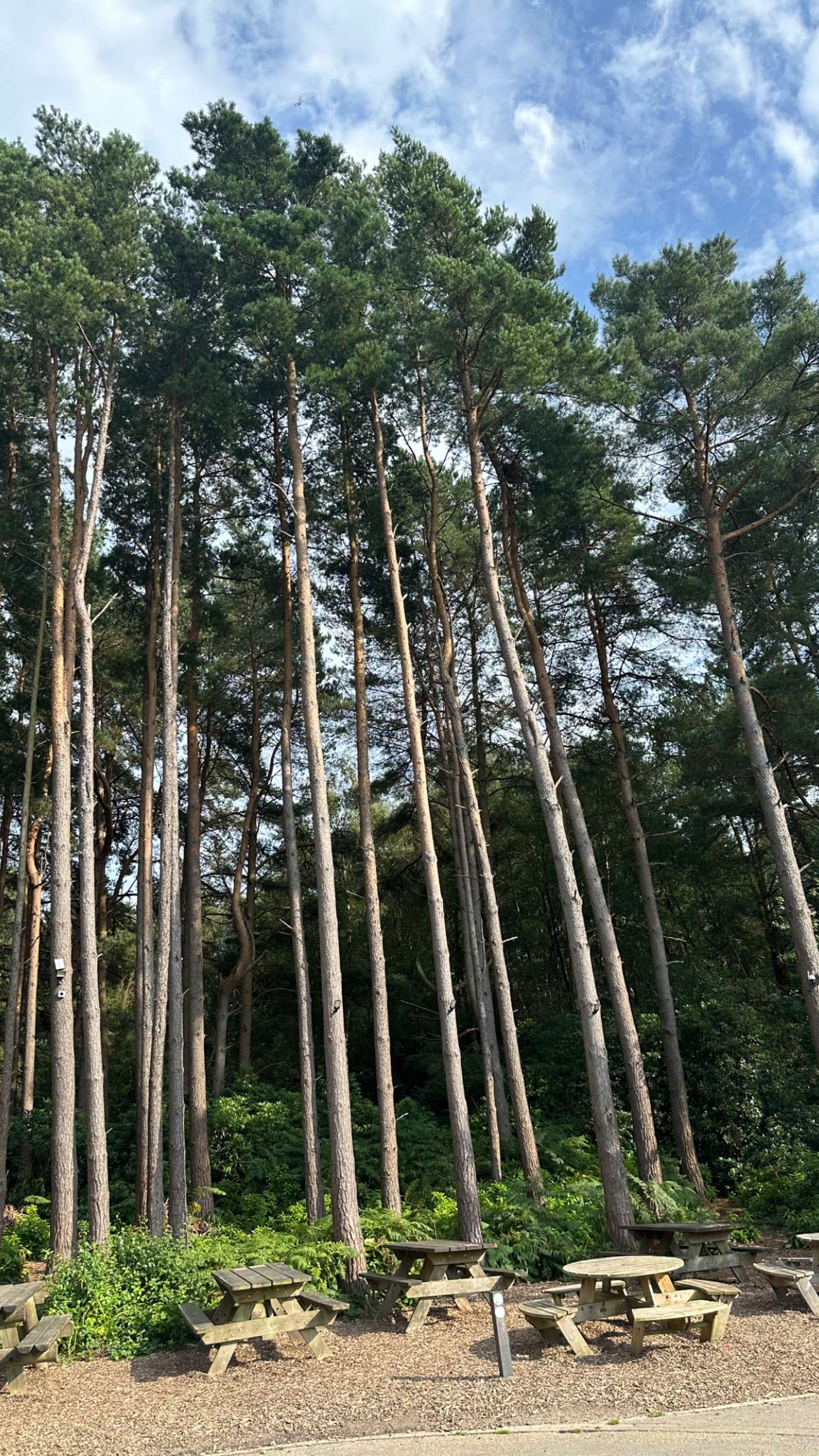 mira.0004 snapchat image archive image