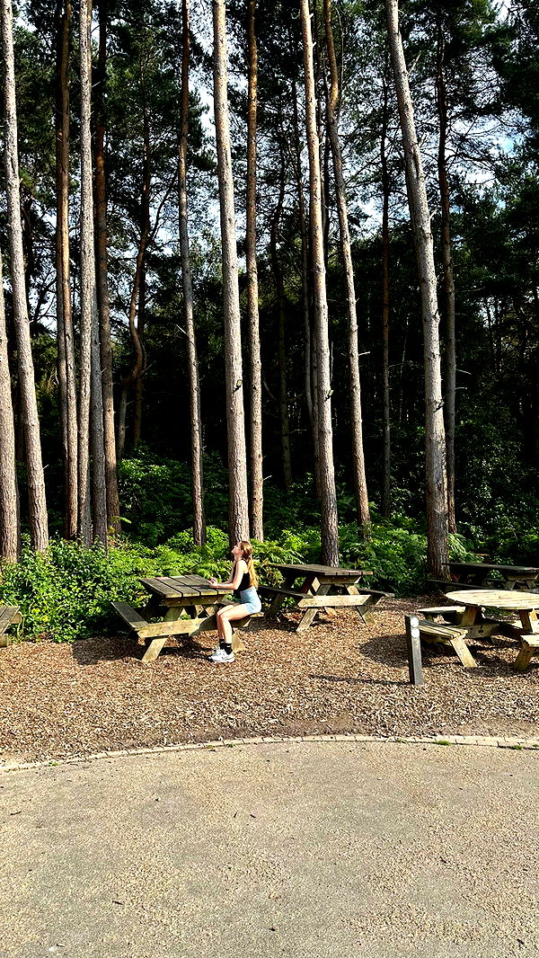 mira.0004 image ~ Altpins