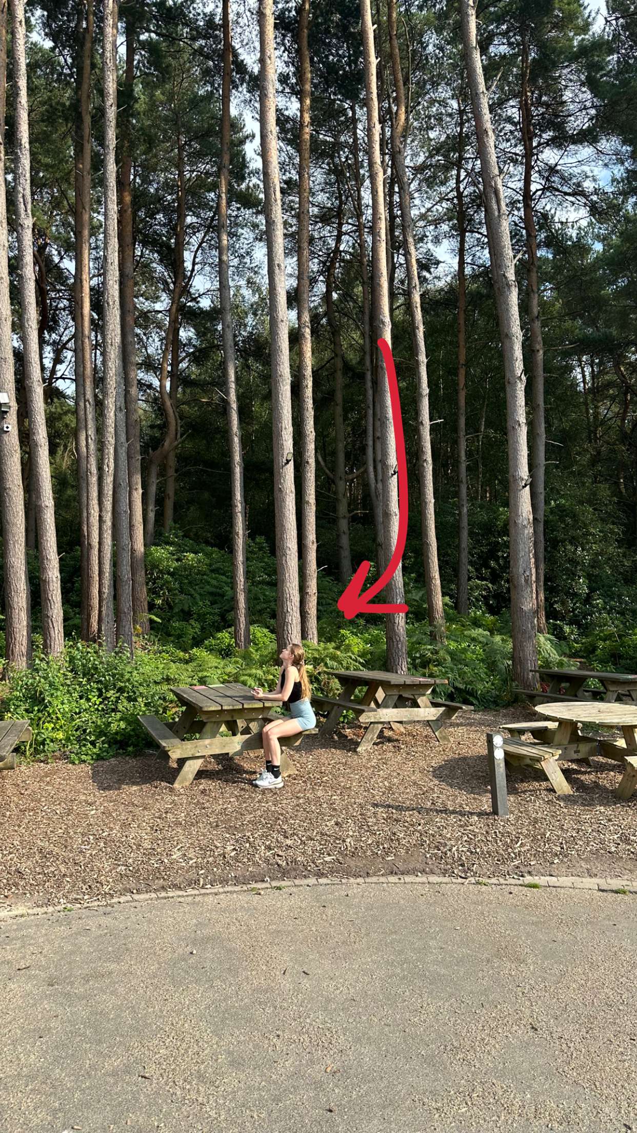 mira.0004 snapchat image archive image