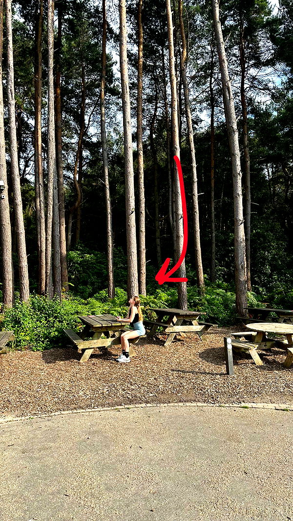 mira.0004 image ~ Altpins