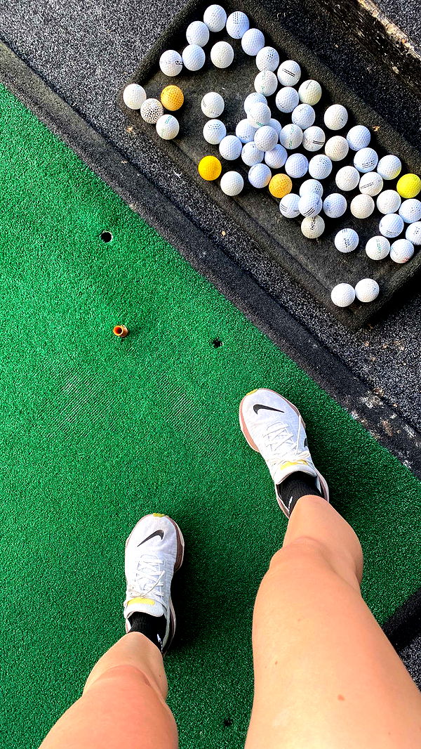 mira.0004 image ~ Altpins