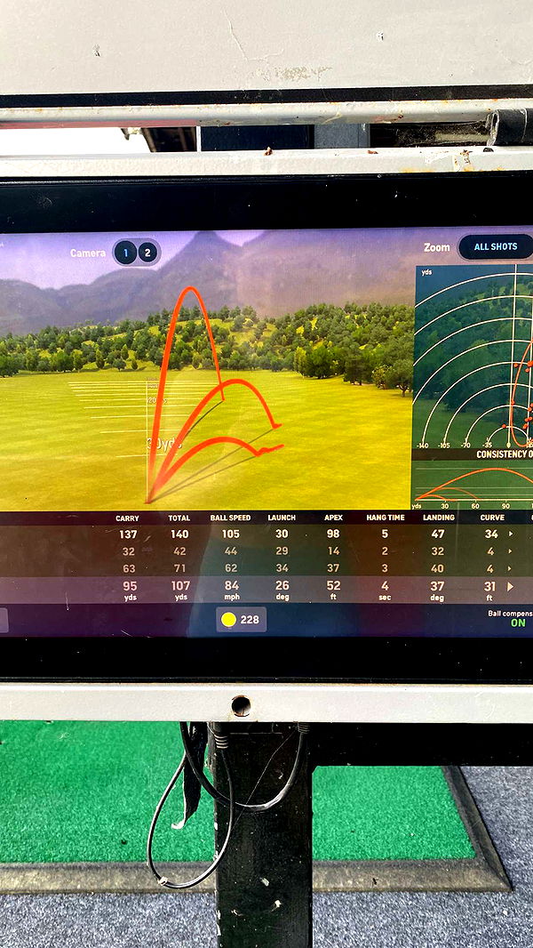 mira.0004 image ~ Altpins