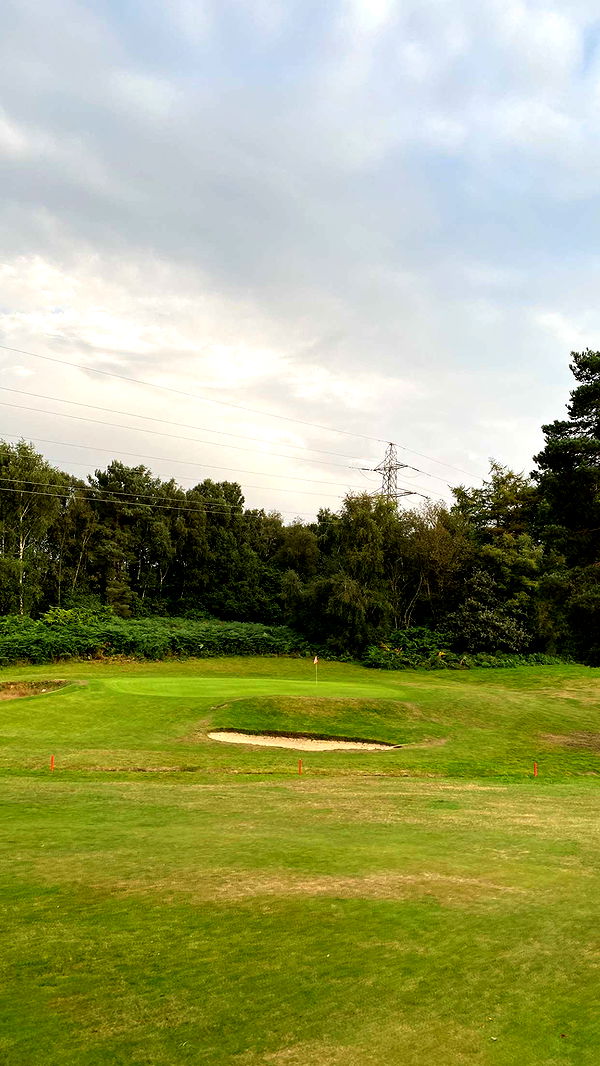 mira.0004 image ~ Altpins