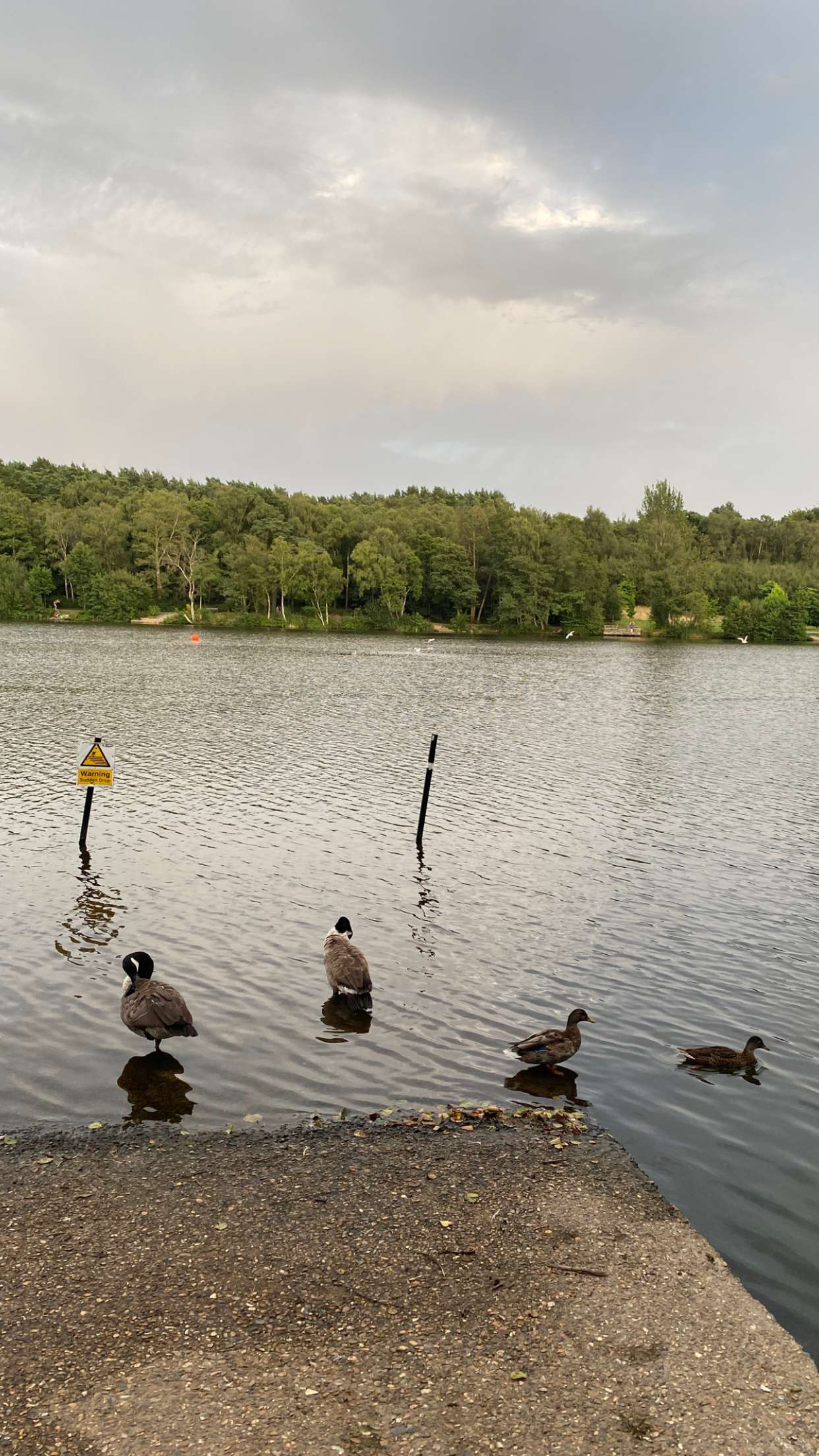 mira.0004 snapchat image archive image