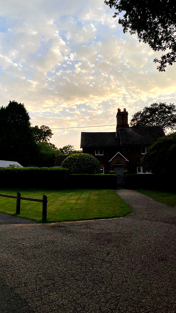 mira.0004 image ~ Altpins