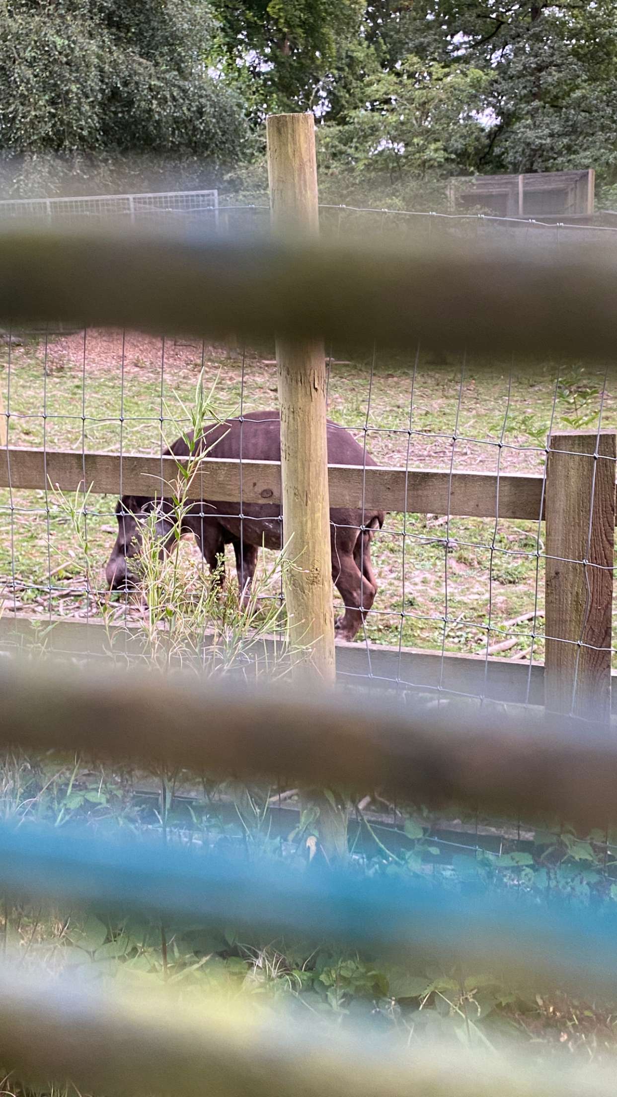 mira.0004 snapchat image archive image