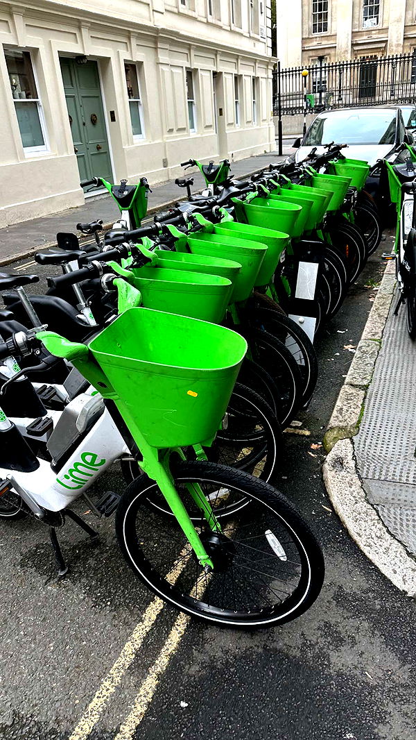 mira.0004 image ~ Altpins