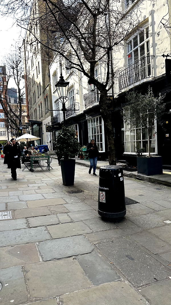 mira.0004 image ~ Altpins