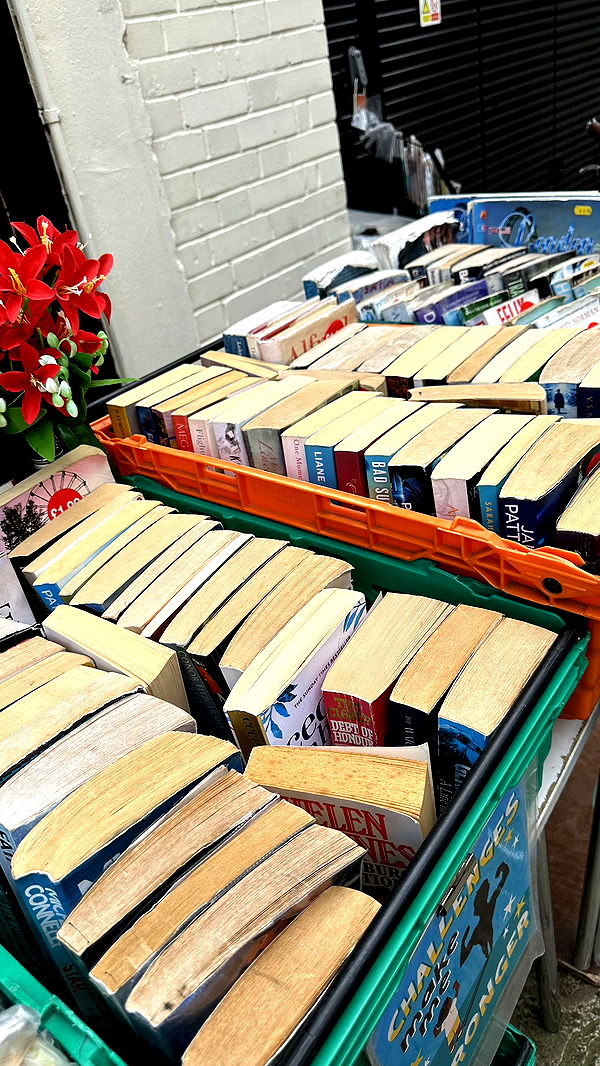 mira.0004 image ~ Altpins