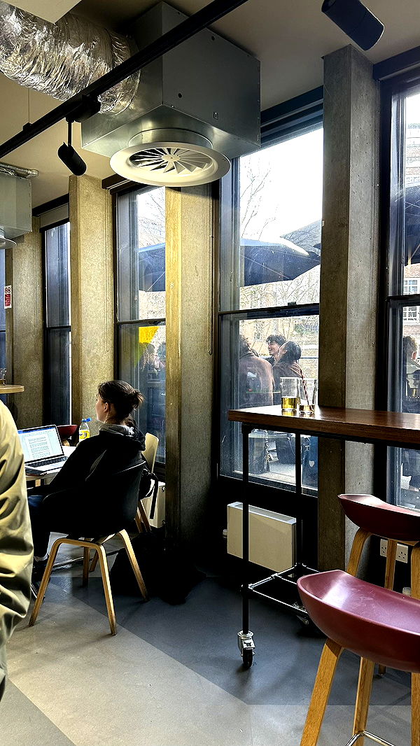 mira.0004 image ~ Altpins