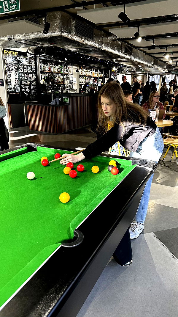 mira.0004 image ~ Altpins