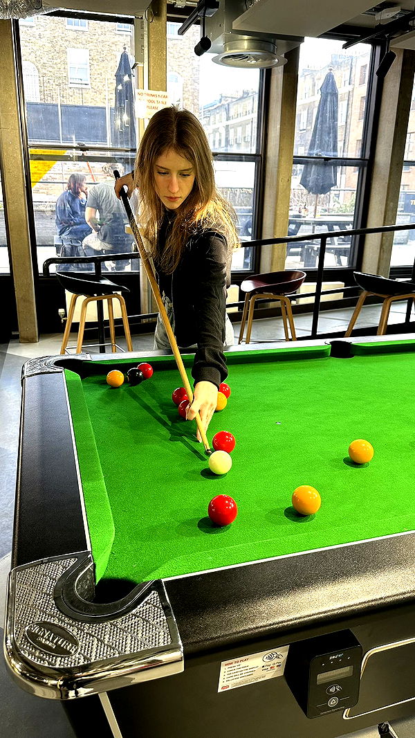 mira.0004 image ~ Altpins