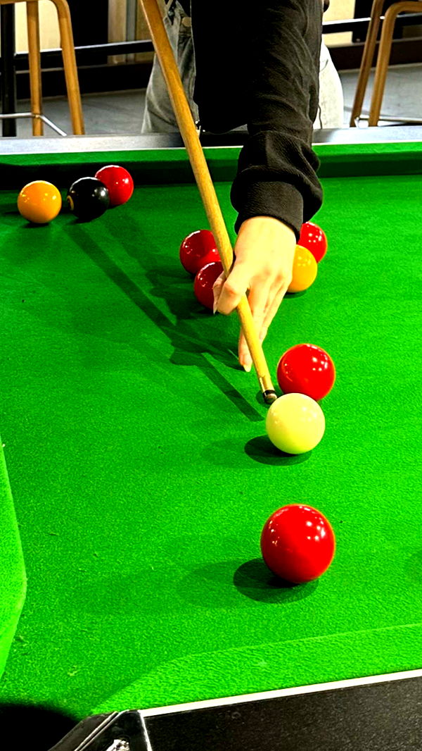 mira.0004 image ~ Altpins