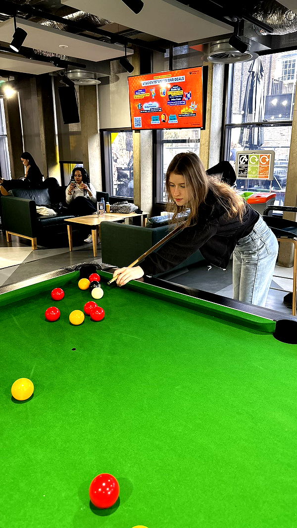 mira.0004 image ~ Altpins