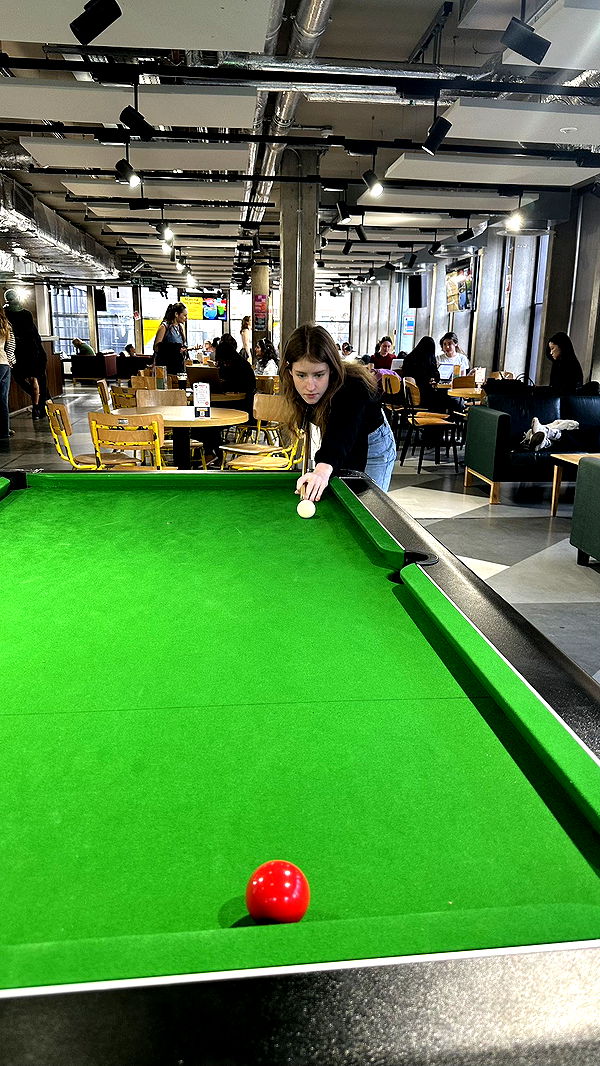 mira.0004 image ~ Altpins