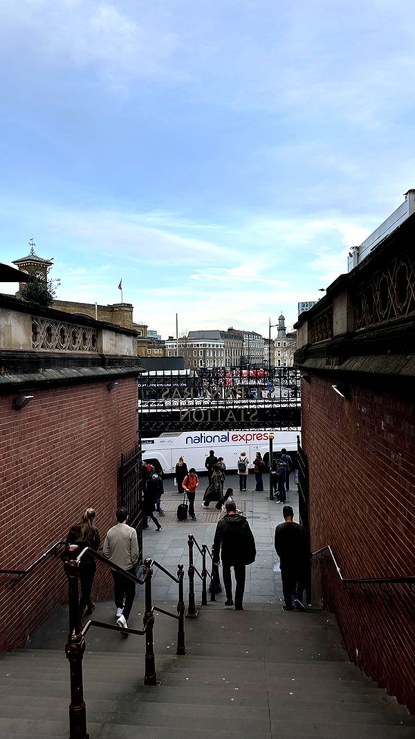 mira.0004 image ~ Altpins