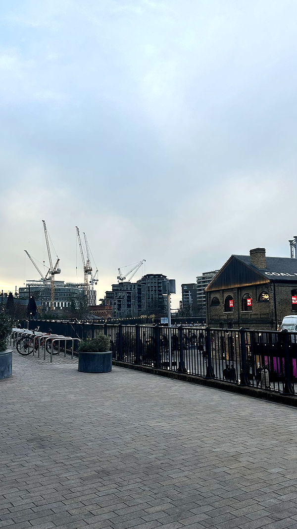 mira.0004 image ~ Altpins