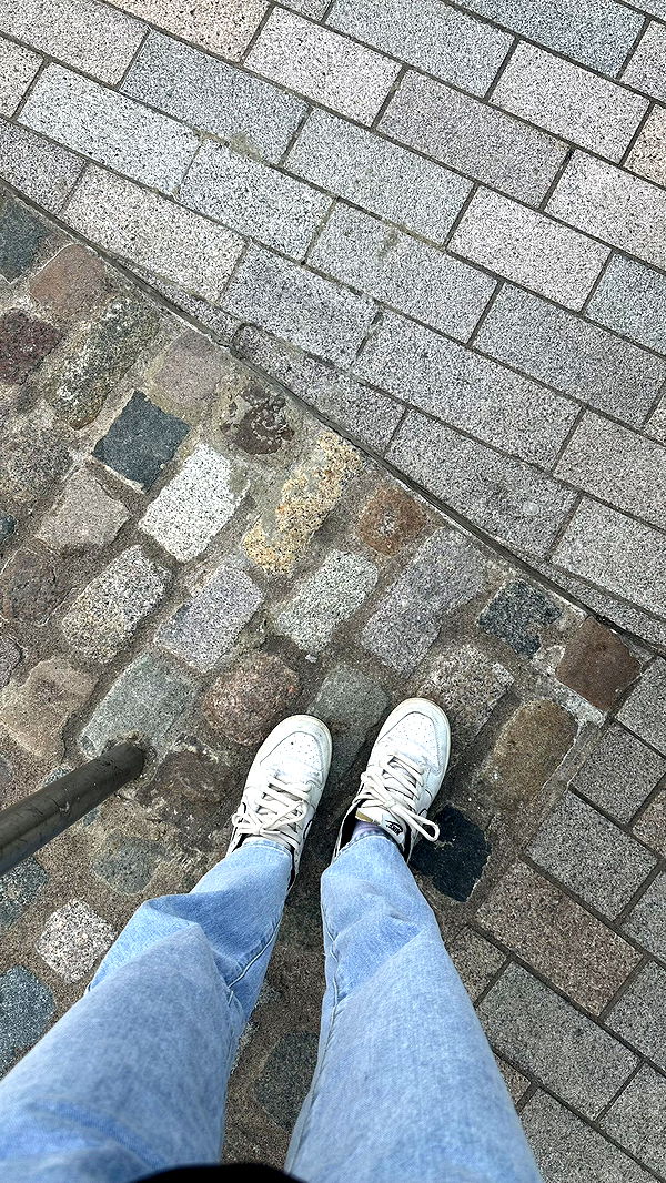 mira.0004 image ~ Altpins