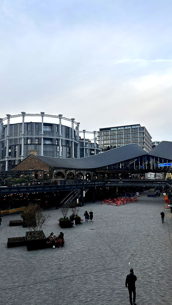 mira.0004 image ~ Altpins