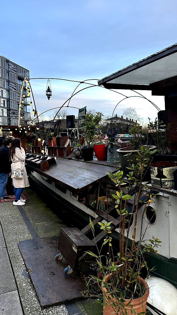 mira.0004 image ~ Altpins