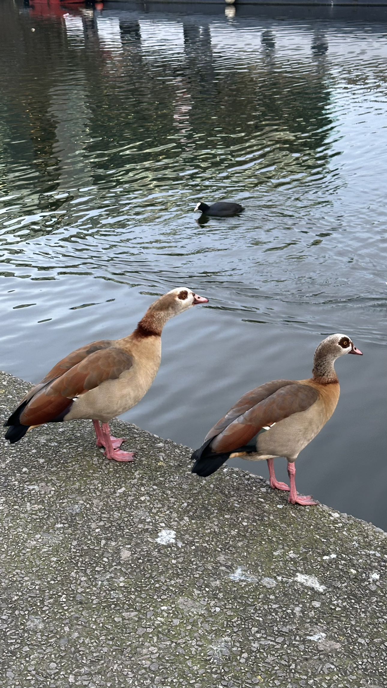 mira.0004 snapchat image archive image