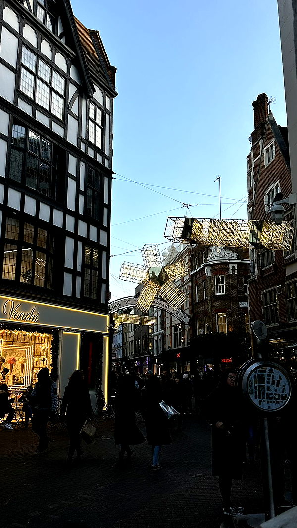 mira.0004 image ~ Altpins