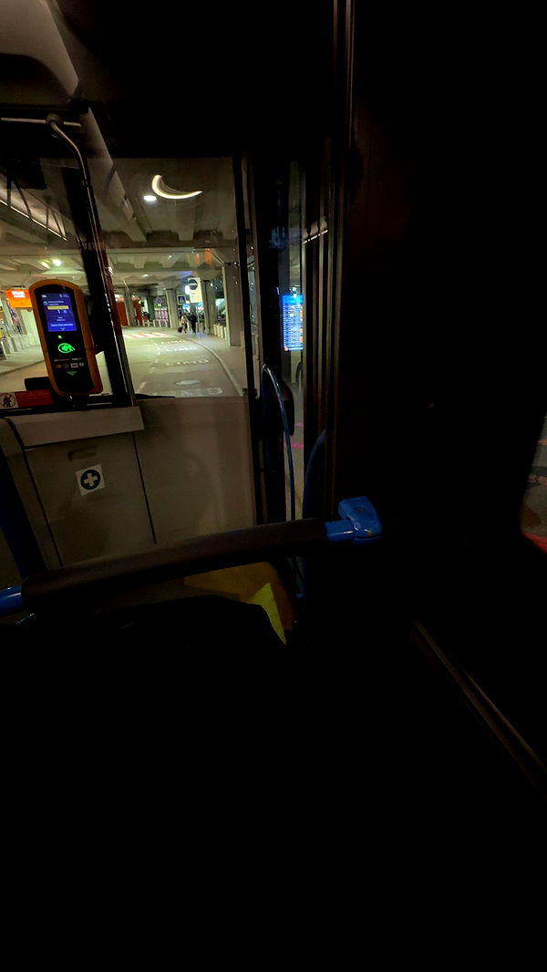 mira.0004 image ~ Altpins