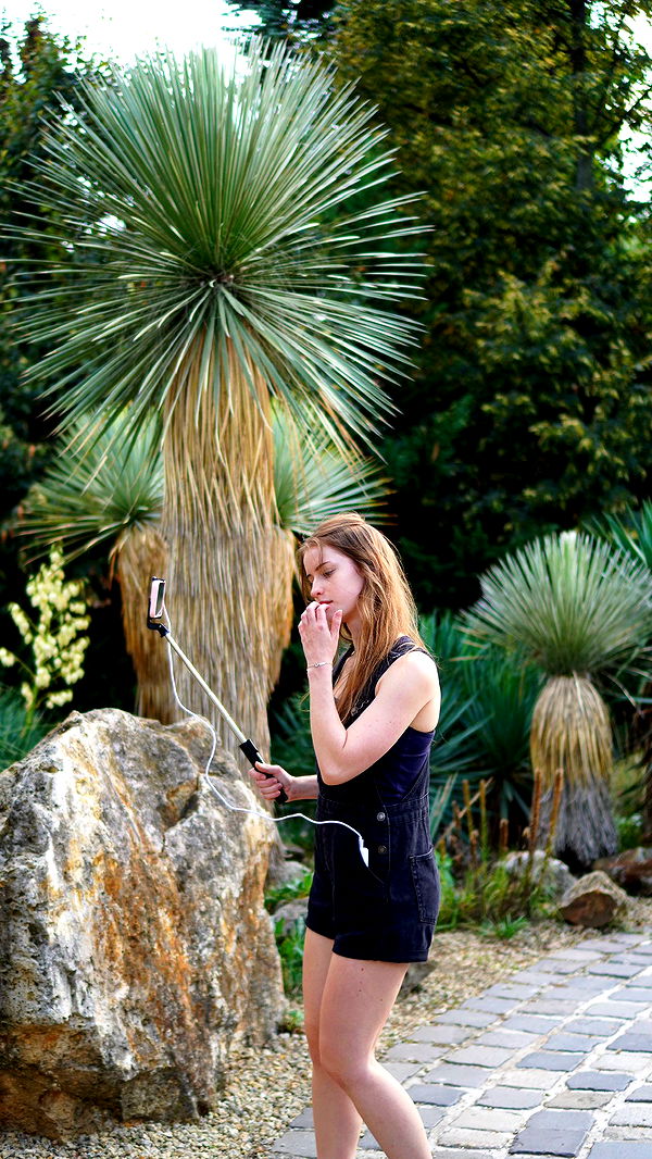 mira.0004 image ~ Altpins