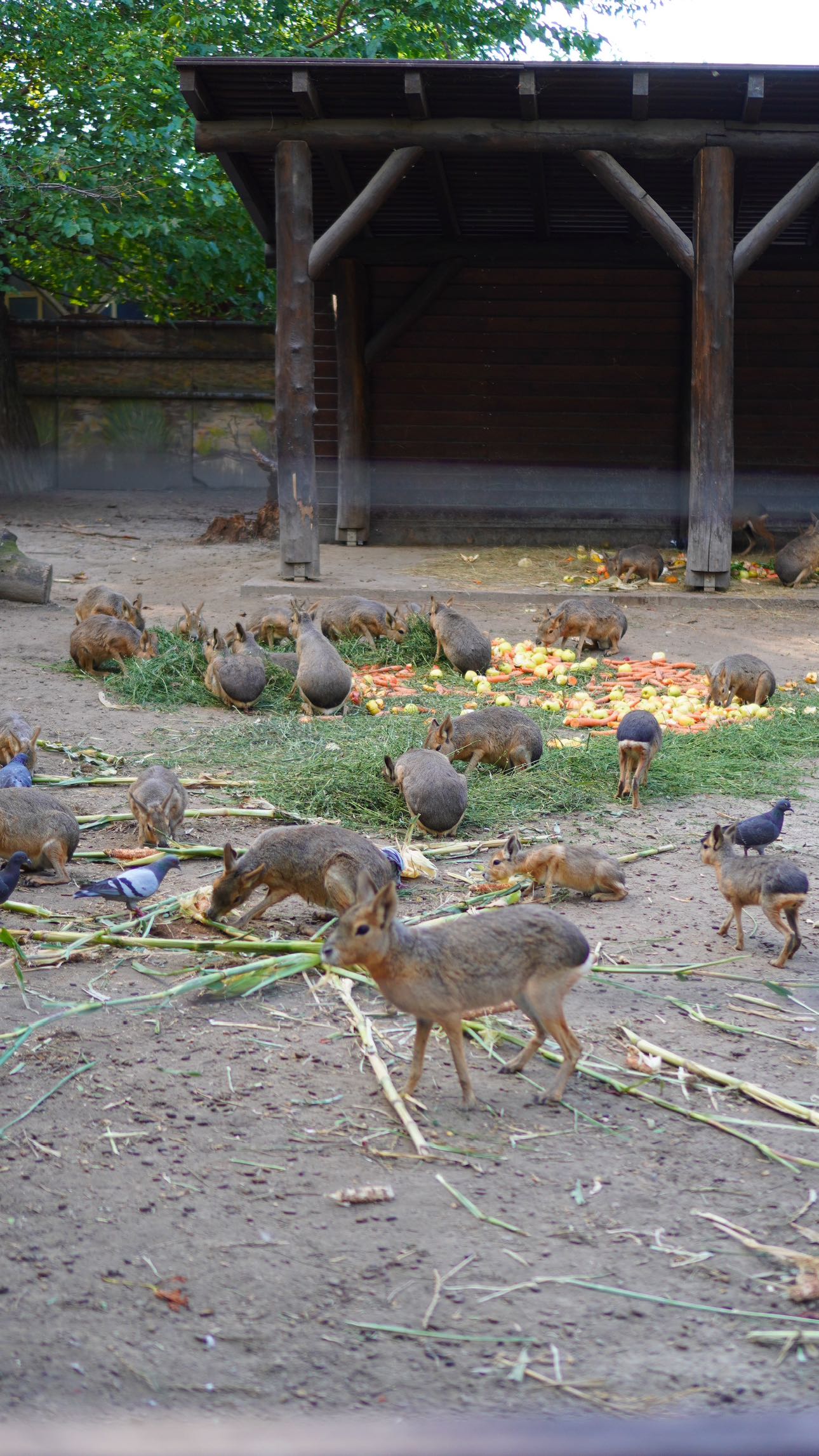 mira.0004 snapchat image archive image