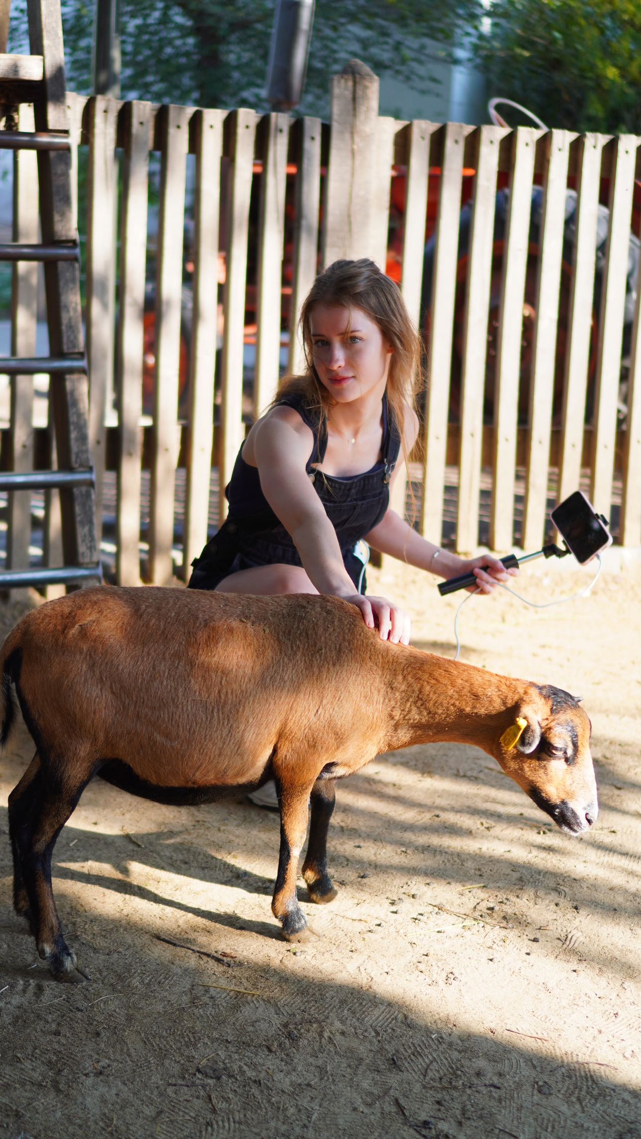 mira.0004 snapchat image archive image