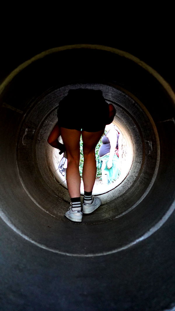 mira.0004 image ~ Altpins