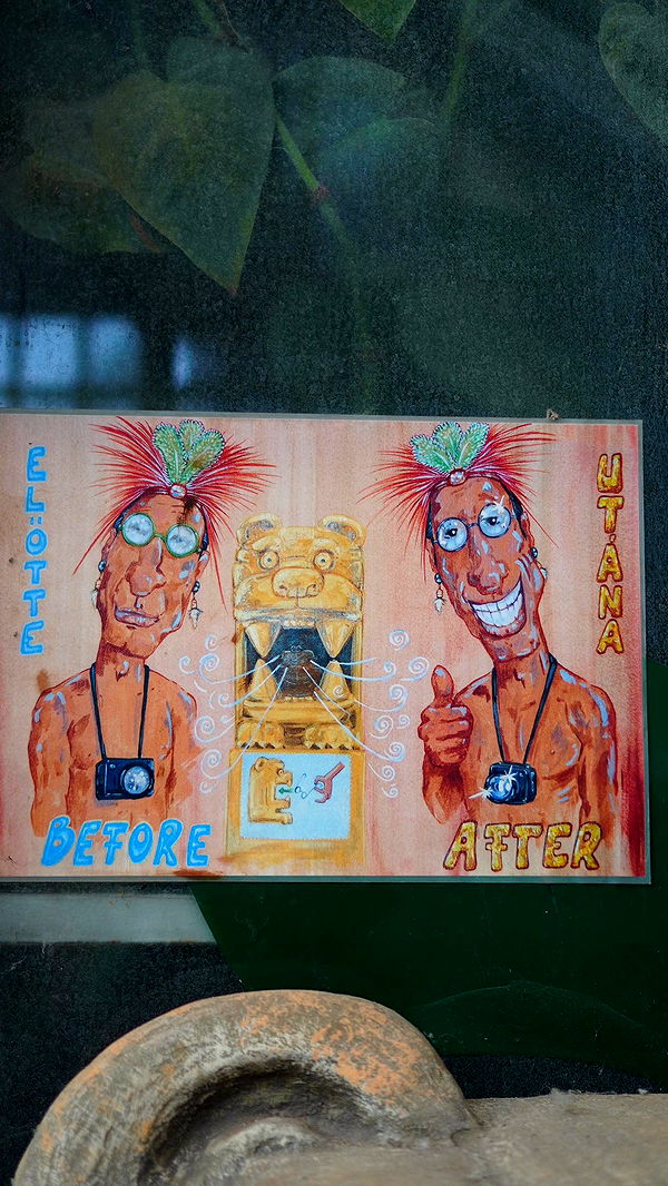 mira.0004 image ~ Altpins