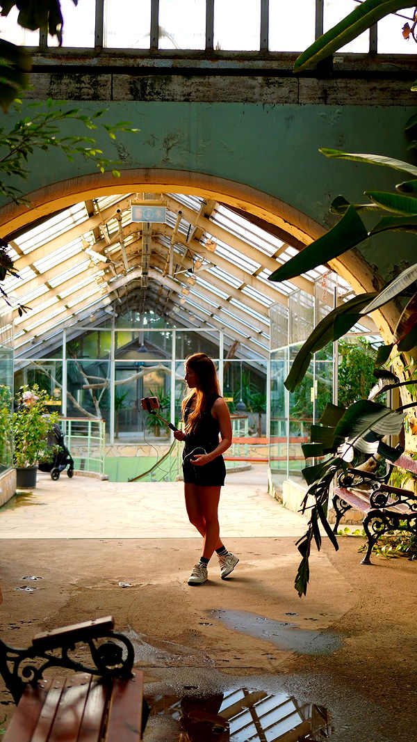 mira.0004 image ~ Altpins