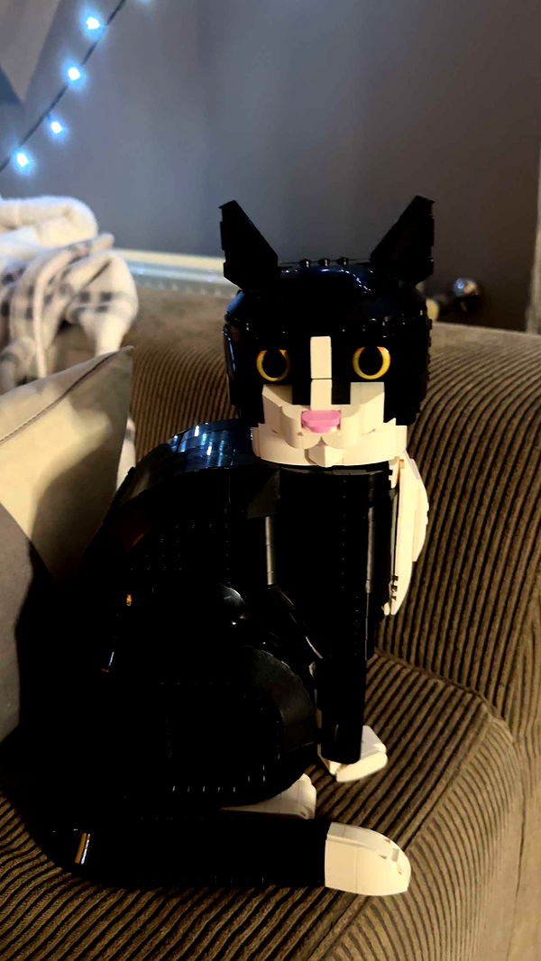 mira.0004 image ~ Altpins