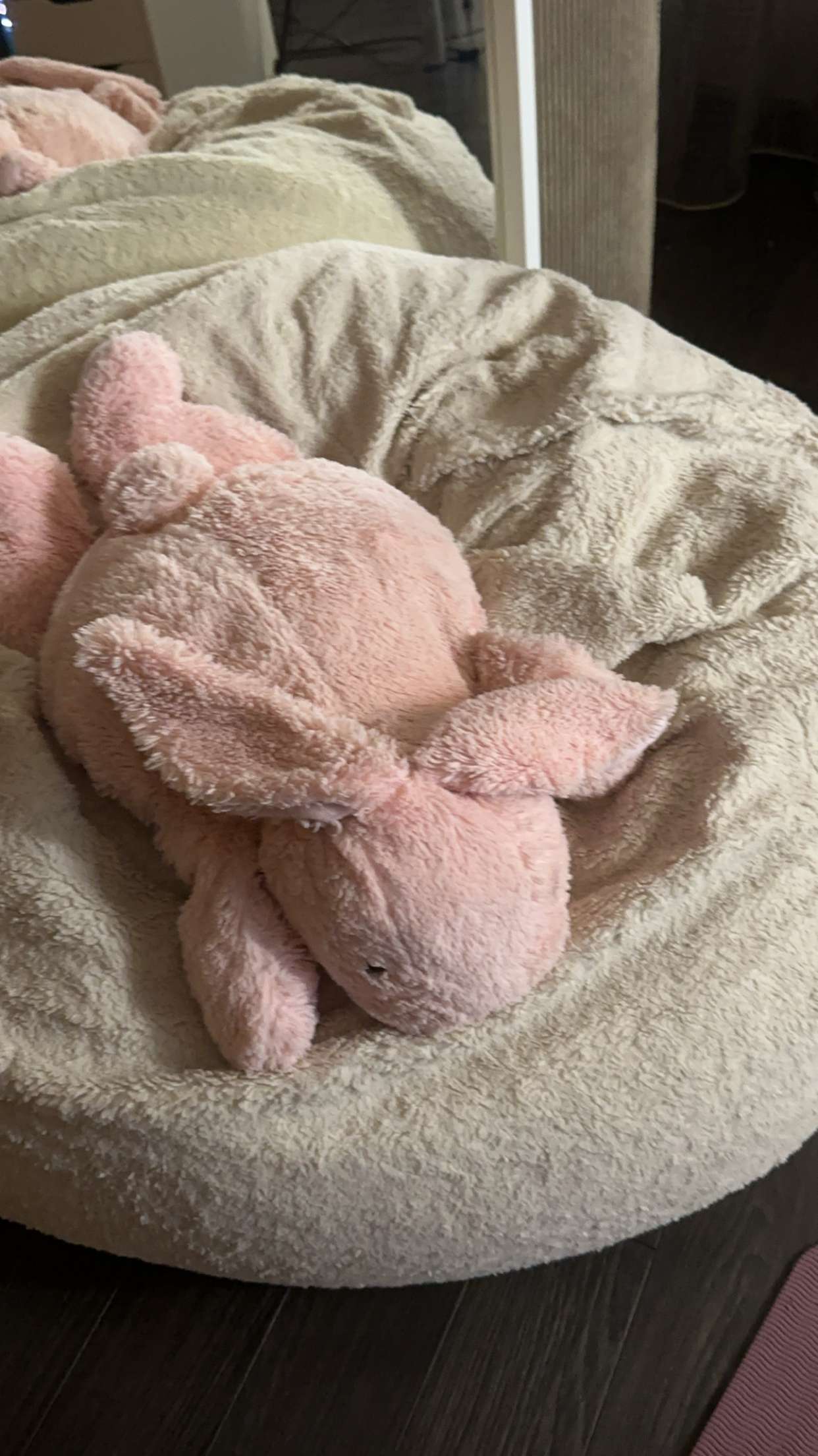 mira.0004 snapchat image archive image