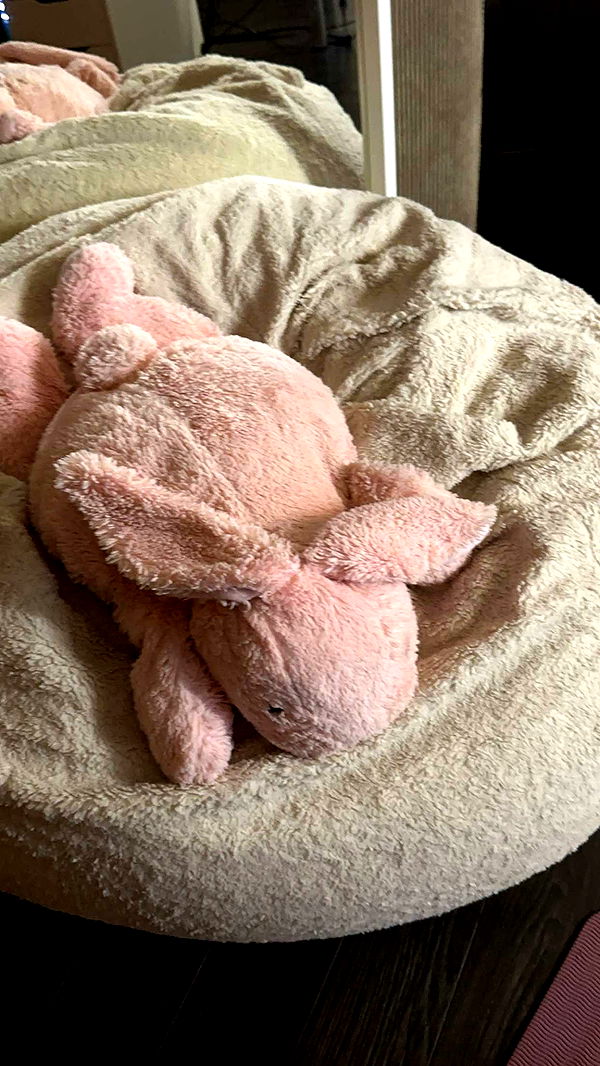 mira.0004 image ~ Altpins