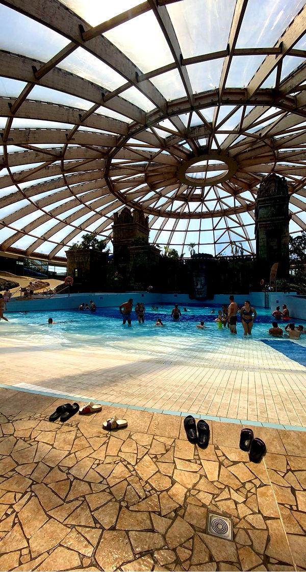 mira.0004 image ~ Altpins