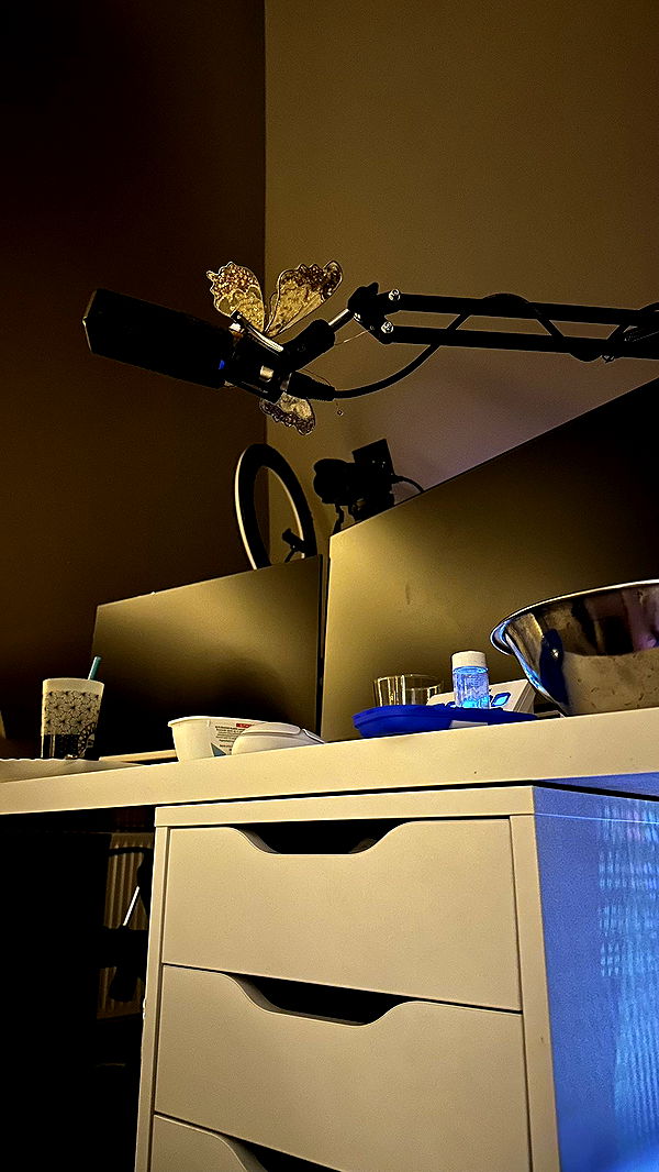 mira.0004 image ~ Altpins