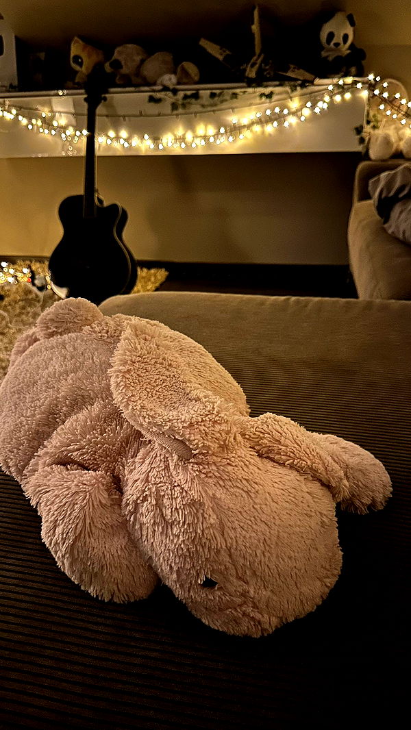 mira.0004 image ~ Altpins