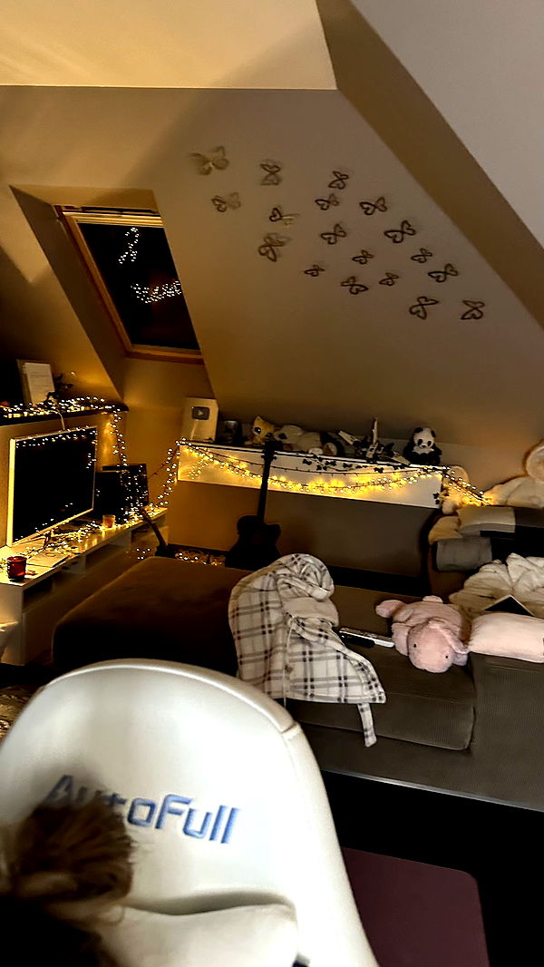 mira.0004 image ~ Altpins