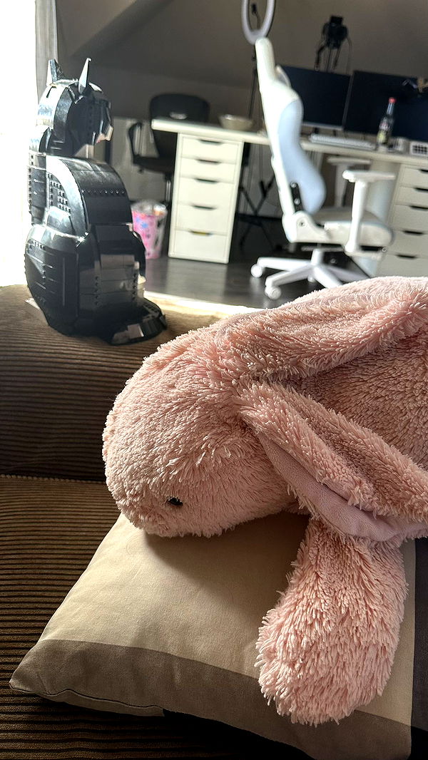 mira.0004 image ~ Altpins