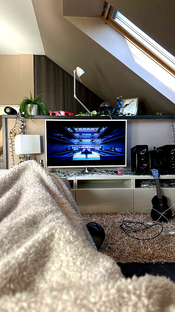 mira.0004 image ~ Altpins