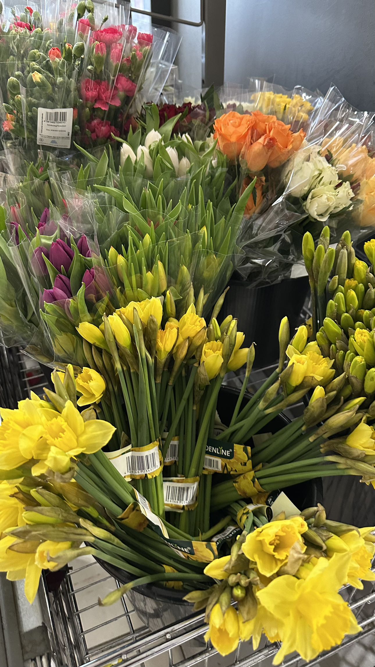 mira.0004 snapchat image archive image